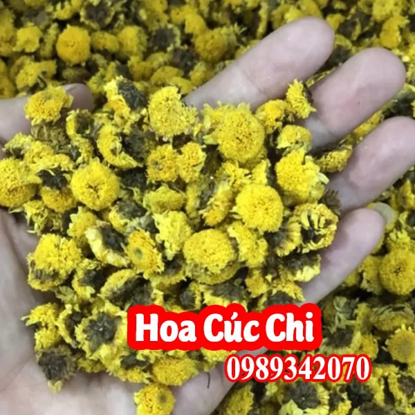 Tổng Hợp Các Loại Trà Hoa Cúc Và Mua Ở Đâu