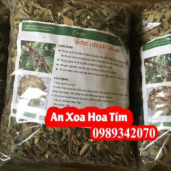 Công Dụng Cây An Xoa Hoa Tím Và Mua Ở Đâu Tốt