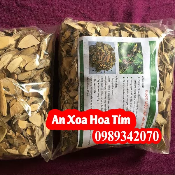 Công Dụng Cây An Xoa Hoa Tím Và Mua Ở Đâu Tốt