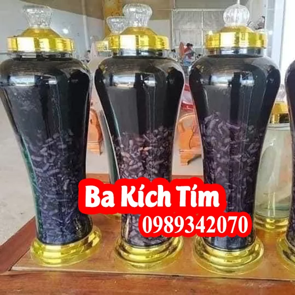Ba kích Tím (loại tươi Nguyên củ) và ba kích khô loại 1