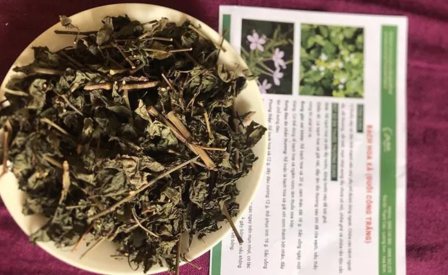 Bạch hoa xà đuôi công (lá tròn) khô