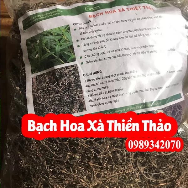 Bạch hoa xà thiệt thảo Và Bạch Hoa Xà Đuôi Công(Lá Tròn)