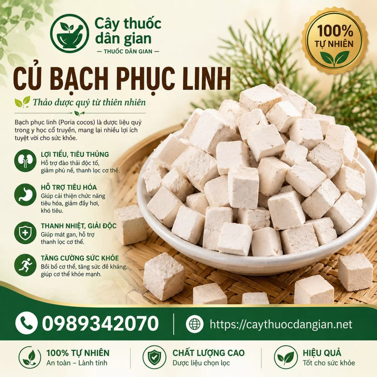 Mua Bạch Phục Linh Ở Đâu Và Bao Nhiêu Tiền 1kg