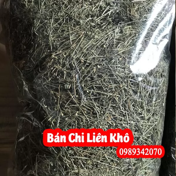Tác Dụng Của Bán Chi Liên Và Cách Sử Dụng Như Thế Nào