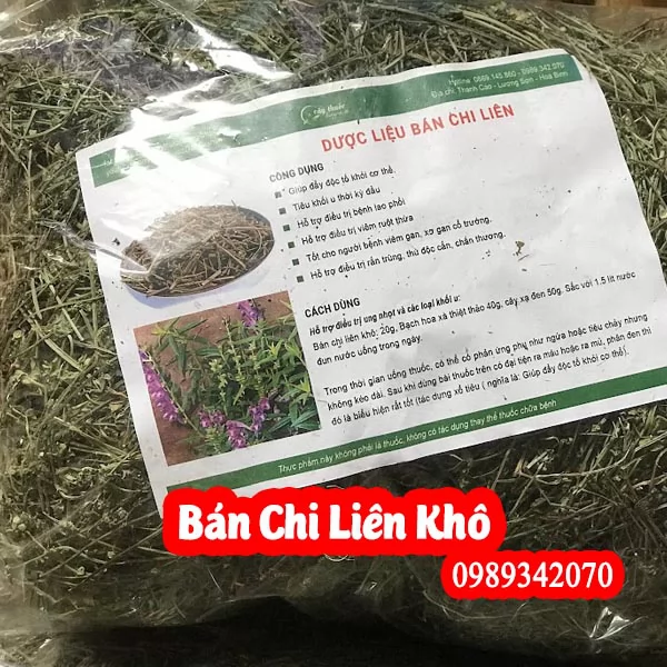 Tác Dụng Của Bán Chi Liên Và Cách Sử Dụng Như Thế Nào
