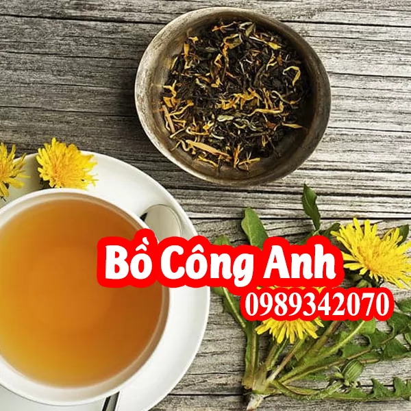Bồ công anh Và Có Tác Dụng Gì