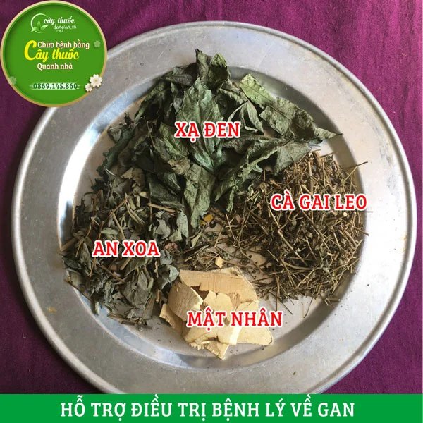 bài thuốc cà gai leo