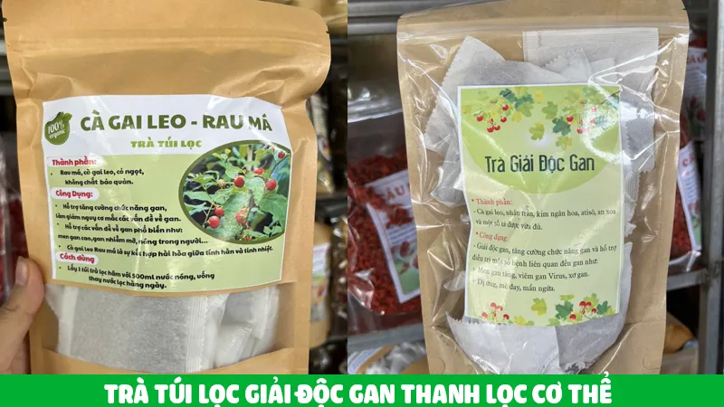 cà gai leo rau má