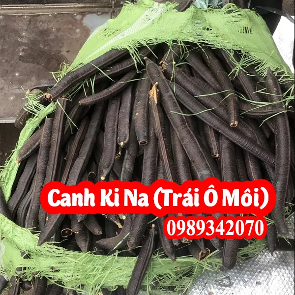 Trái Canh Ki Na(Trái Ô Môi) Công Dụng Và Mua Ở Đâu Tốt