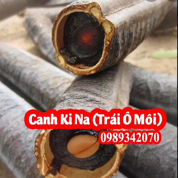 Trái Canh Ki Na(Trái Ô Môi) Công Dụng Và Mua Ở Đâu Tốt