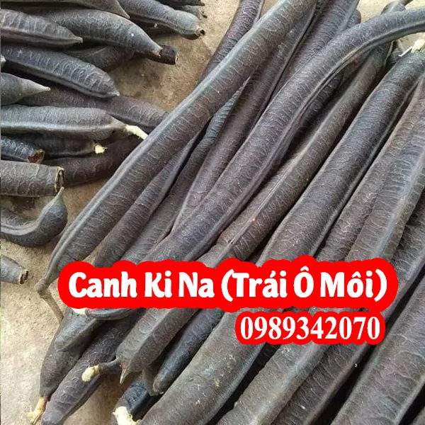 Trái Canh Ki Na(Trái Ô Môi) Công Dụng Và Mua Ở Đâu Tốt