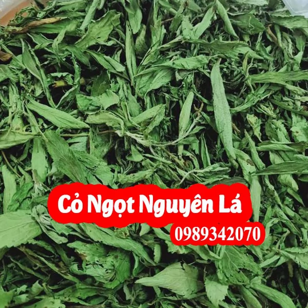 Công Dụng Của Cây Cỏ Ngọt Và Hướng Dẫn Sử Dụng Cây Cỏ Ngọt