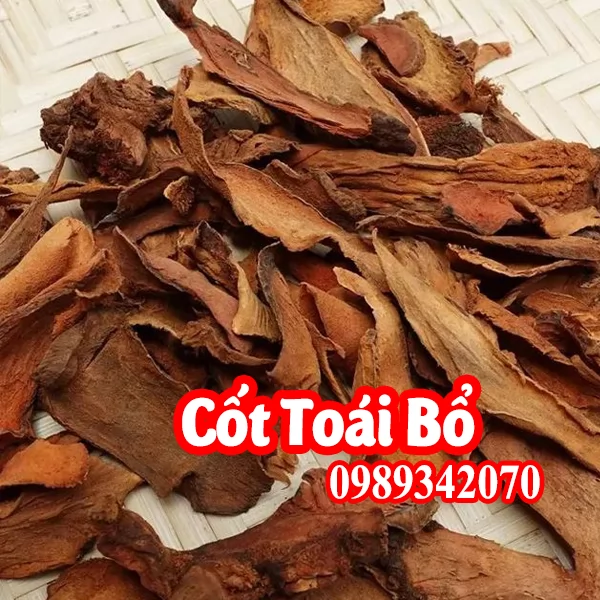 Cốt toái bổ khô (tắc kè đá)