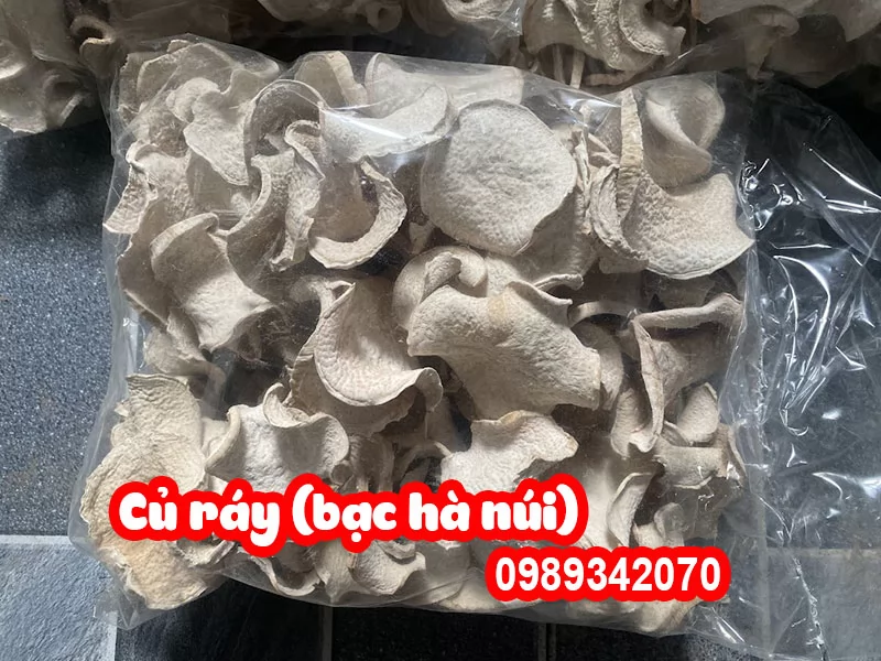 Cây Bạc Hà Núi (củ ráy) Có Tác Dụng Gì Và Mua Ở Đâu
