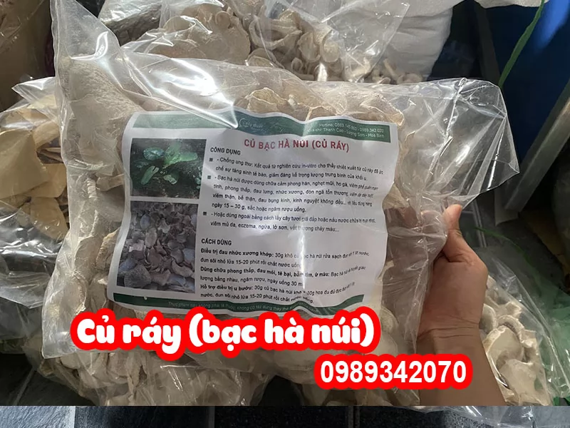 Cây Bạc Hà Núi (củ ráy) Có Tác Dụng Gì Và Mua Ở Đâu