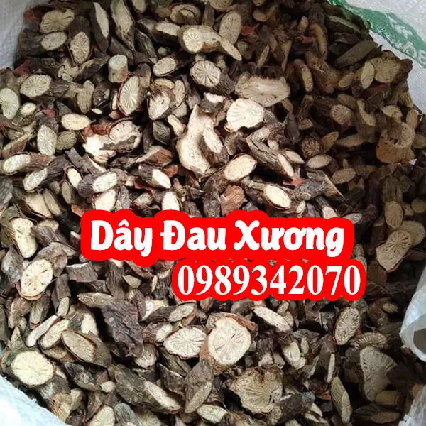 Dây đau xương (khoan cân đằng) và hướng dẫn sử dụng đúng cách