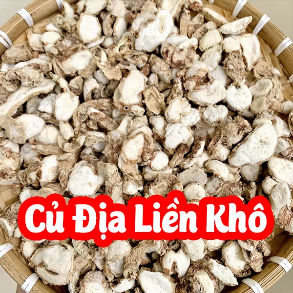 Cây Địa Liền Và Công Dụng Của Nó Là Gì