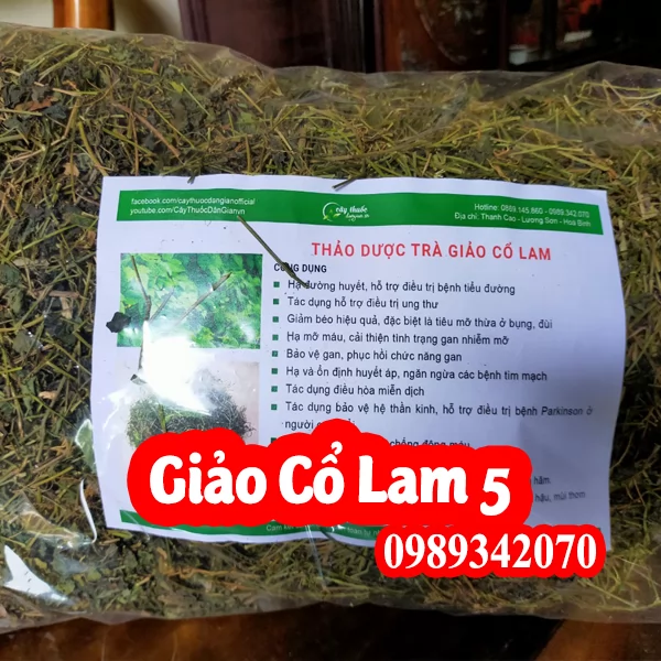 Giảo cổ lam Hòa Bình loại 5 lá “Ngũ diệp sâm”
