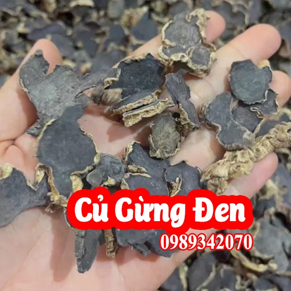 Mua Củ Gừng Đen(Nghệ Đen) Ở Đâu Và Bao Nhiêu Tiền 1kg