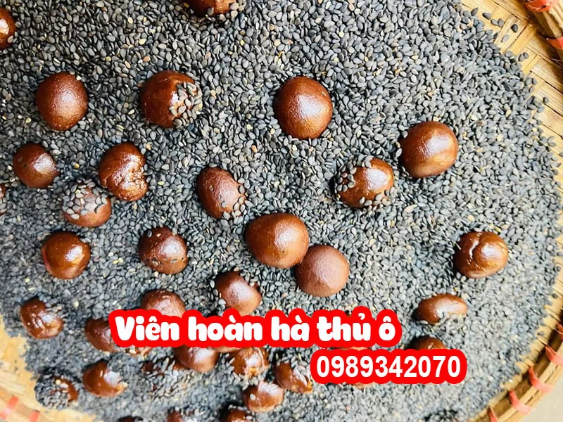 Hà thủ ô đỏ rừng Hòa Bình loại nguyên củ (do)