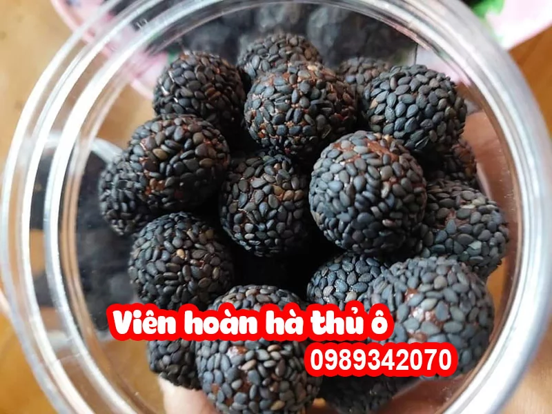 Hà thủ ô đỏ rừng Hòa Bình loại nguyên củ (do)