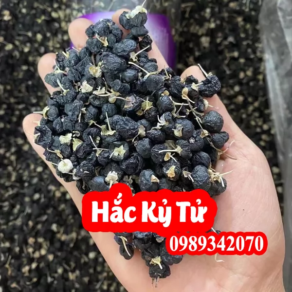 Công Dụng Của Hắc Kỳ Tử Và Hướng Dẫn Sử Dụng Hắc Kỳ Tử