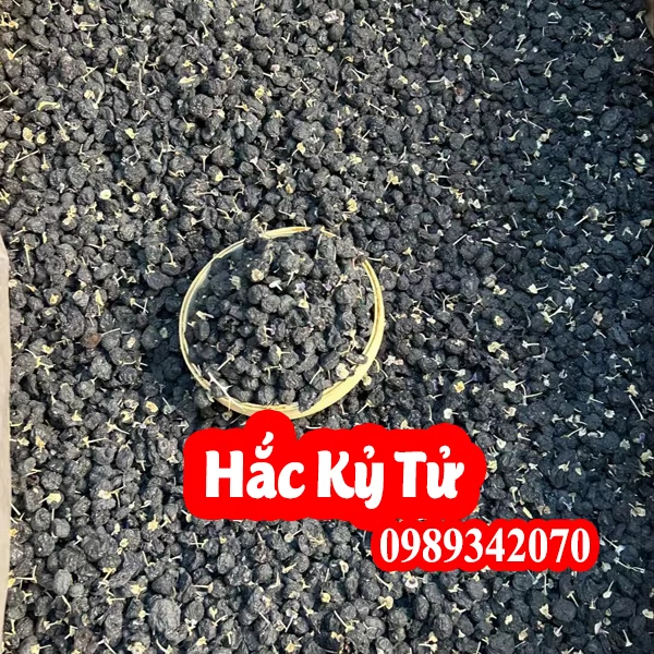 Công Dụng Của Hắc Kỳ Tử Và Hướng Dẫn Sử Dụng Hắc Kỳ Tử