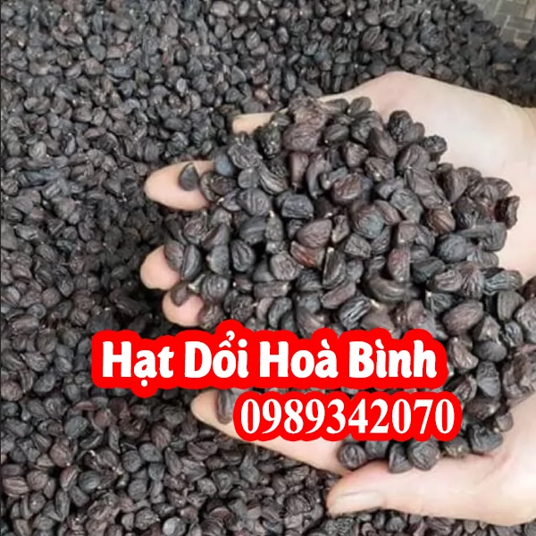 Hạt dổi thứ gia vị “Nếm thử một lần mà nhớ trăm năm”