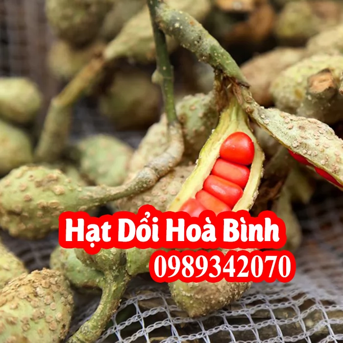 Hạt dổi thứ gia vị “Nếm thử một lần mà nhớ trăm năm”