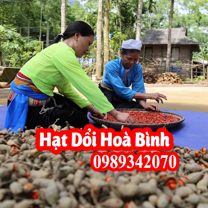 Hạt dổi thứ gia vị “Nếm thử một lần mà nhớ trăm năm”