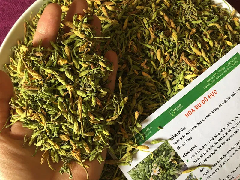 Hoa Đu Đủ Đực Sấy Lạnh Nguyên Chất – Thảo Dược Tự Nhiên