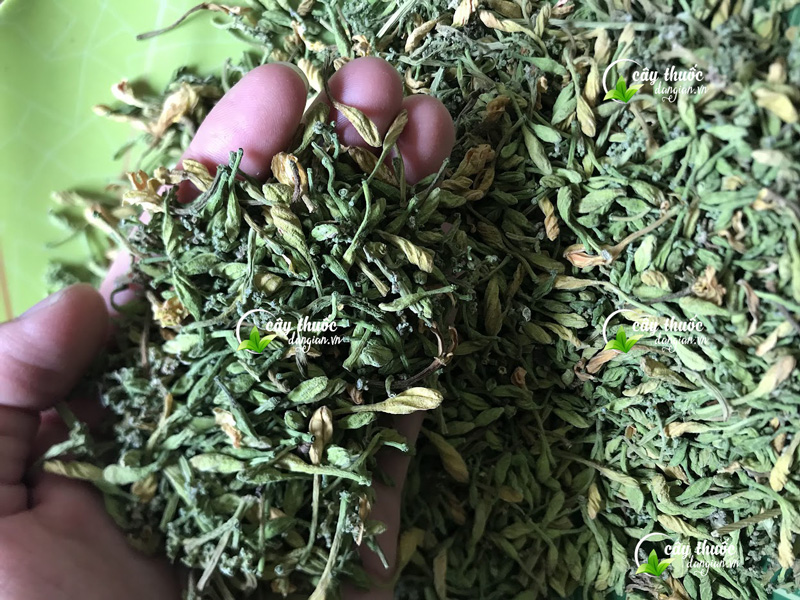 Hoa đu đủ sấy 