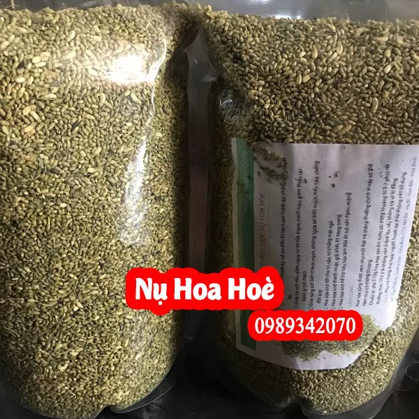 Mua Hoa Hòe Khô Ở Đâu Uy Tín? Công Dụng Cho Huyết Áp, Bền Thành Mạch & Bảng Giá Mới Nhất