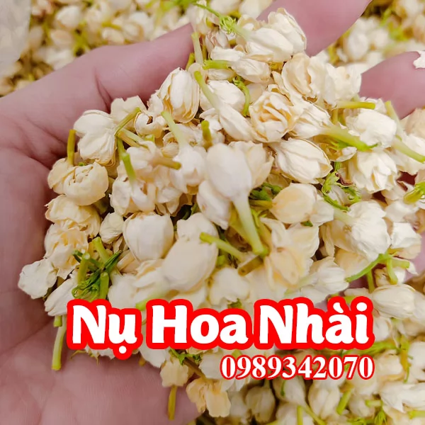 Tác Dụng Của Hoa Nhài Và Hướng Dẫn Sử Dụng Nụ Hoa Nhài