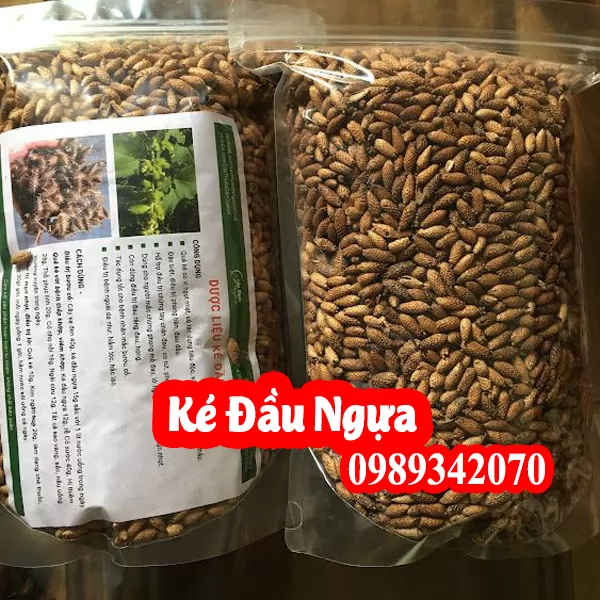 Tác Dụng Của Quả Ké Đầu Ngựa Và Hướng Dẫn Sử Dụng