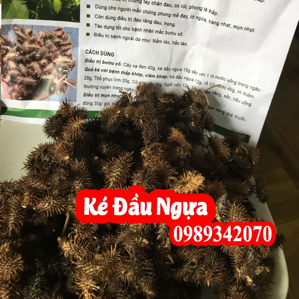 Tác Dụng Của Quả Ké Đầu Ngựa Và Hướng Dẫn Sử Dụng