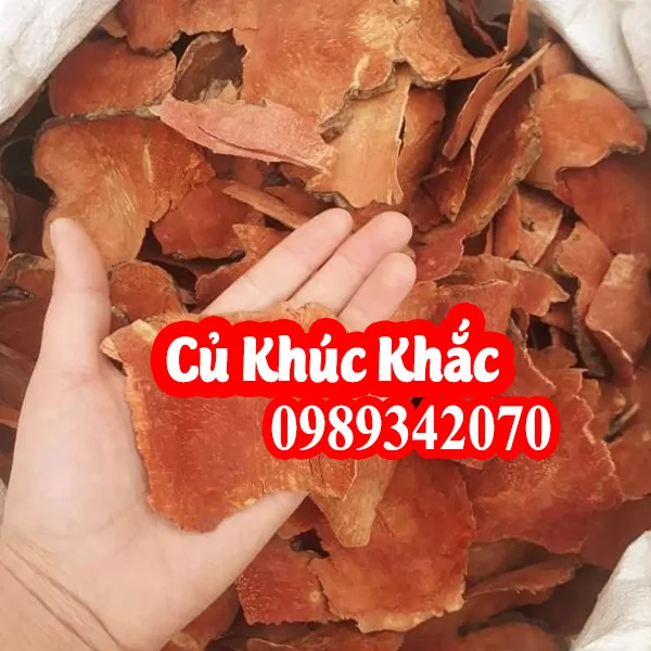 Tác Dụng Của Khúc Khắc(Củ Kim Cang) Là Gì Và Mua Ở Đâu