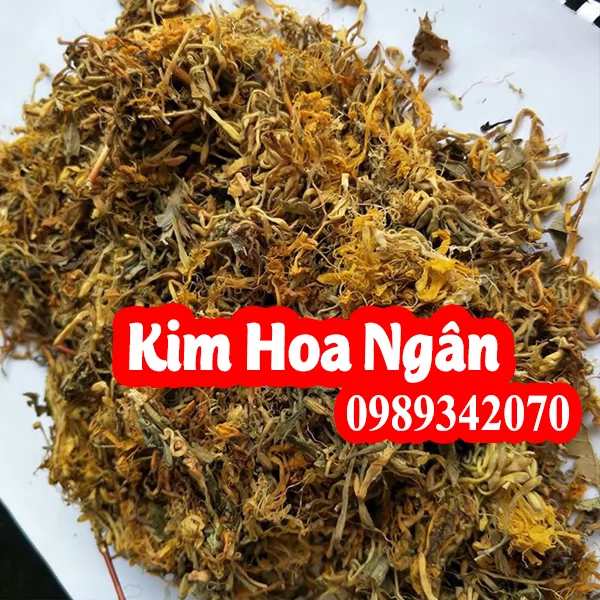 Tác Dụng Của Kim Hoa Ngân và Mua Kim Hoa Ngân Ở Đâu