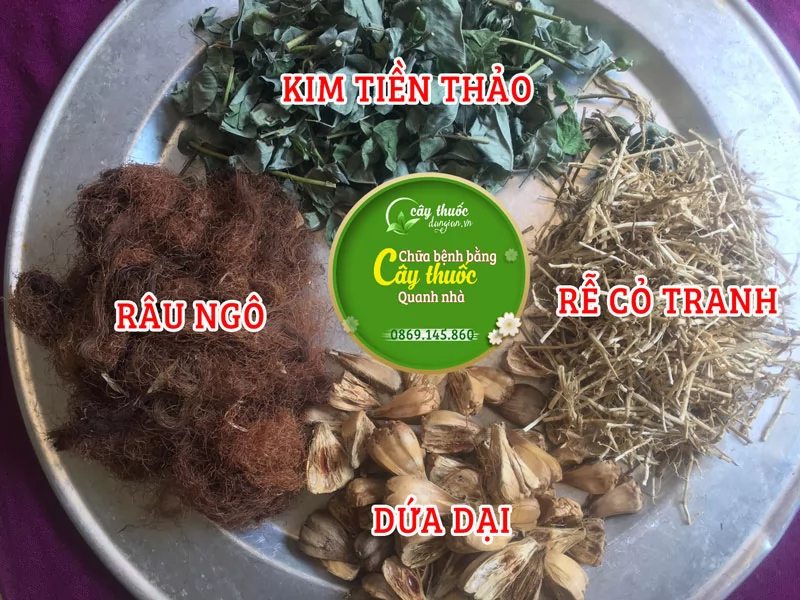Mua Kim Tiền Thảo Ở Đâu Và Bao Nhiêu Tiền 1kg