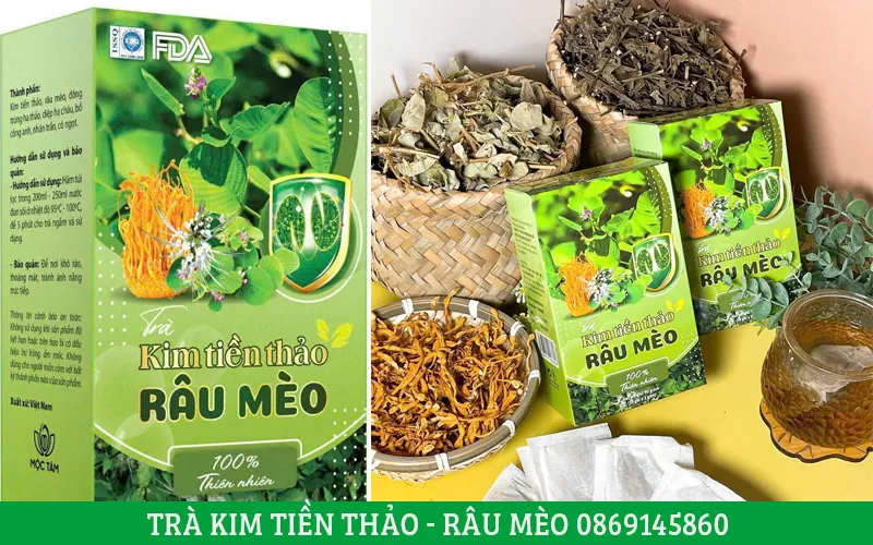 trà túi lọc kim tiền thảo