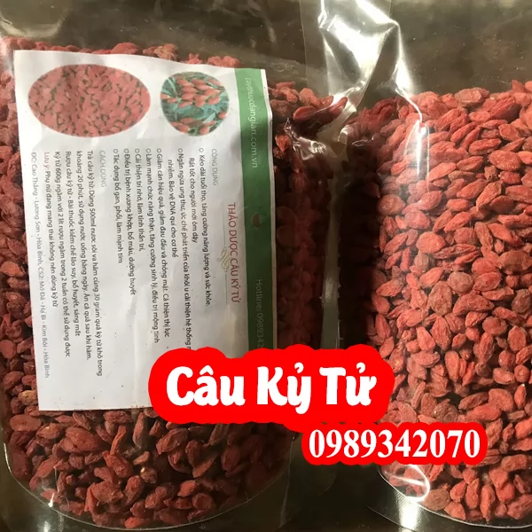 Tác Dụng Câu Kỷ Tử Và Mua Câu Kỷ Tử Ở Đâu Uy Tín Chất Lượng