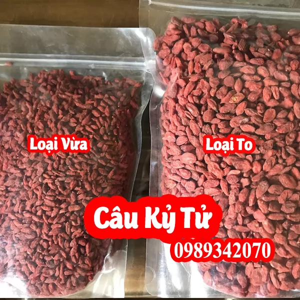 Tác Dụng Câu Kỷ Tử Và Mua Câu Kỷ Tử Ở Đâu Uy Tín Chất Lượng
