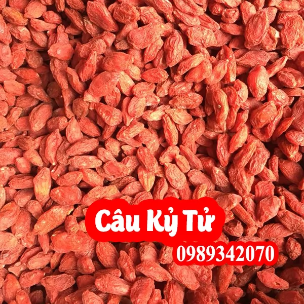 Tác Dụng Câu Kỷ Tử Và Mua Câu Kỷ Tử Ở Đâu Uy Tín Chất Lượng