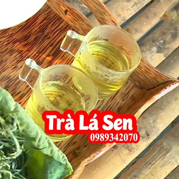 Tác Dụng Lá Sen Và Mua Lá Sen Ở Đâu Tốt