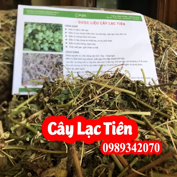 Công Dụng Của Cây lạc Tiên Và Mua Cây Lạc Tiên Ơ Đâu