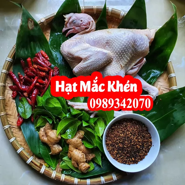 Hạt mắc khén gia vị đặc trưng miền núi rừng Tây Bắc