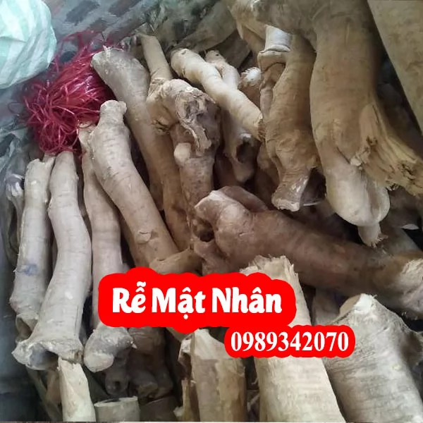 Công Dụng Của Mật Nhân Và Hướng Dẫn Sử Dụng Cách Dùng