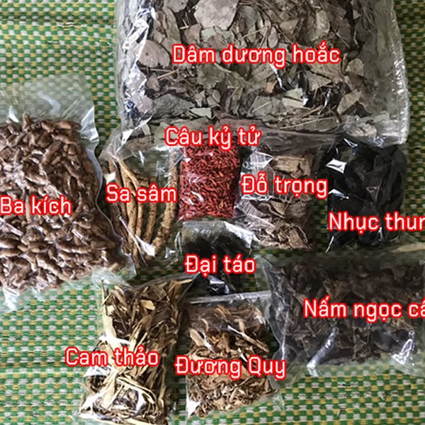 Công Dụng Của Nấm Ngọc Cẩu Và Địa Chỉ Bán Uy Tín