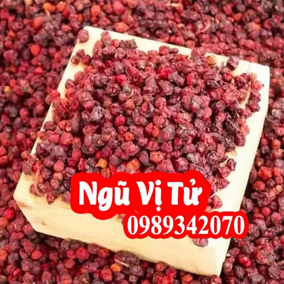 Tác Dụng Của Ngũ Vị Tử Và Mua Ngũ Vị Tử Ở Đâu