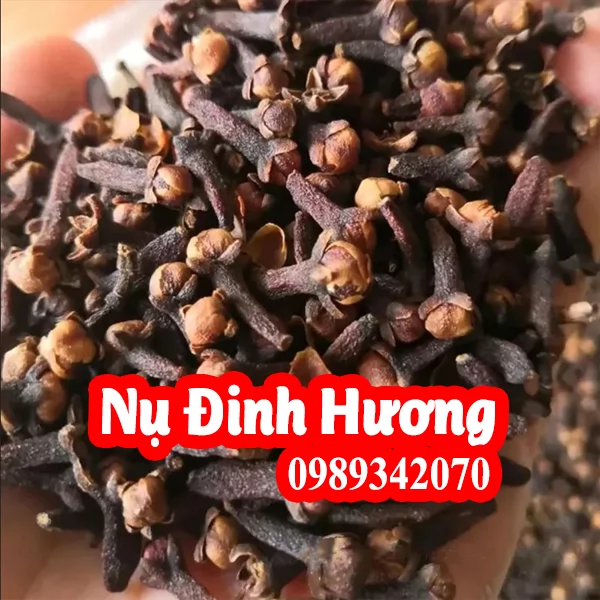Nụ đinh hương điều trị các bệnh về tiêu hóa và những lưu ý
